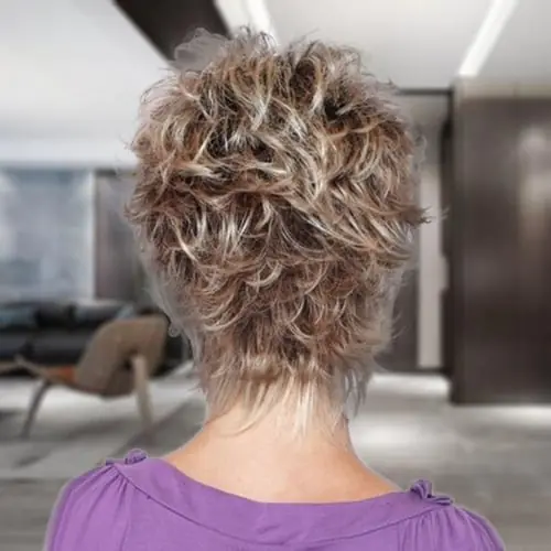 Women Short Ombre Curly Hair Synthetic Full Wigs High Temperature Fiber Causal Women Short Ombre Curly Hair Synthetic Full Wigs High Temperature Fiber Causal