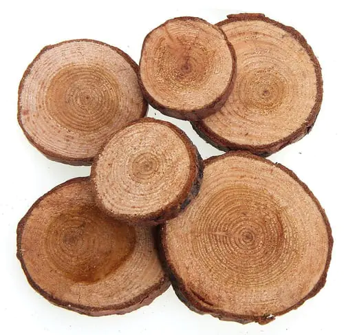 Craft For All- Branch offcuts 40g, Dia about 3-5cm Craft For All- Branch offcuts 40g, Dia about 3-5cm