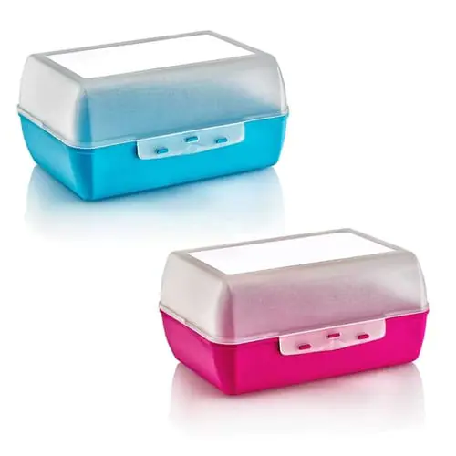 Lunch Box Plastic Colored Lunch Box Transparent Lid