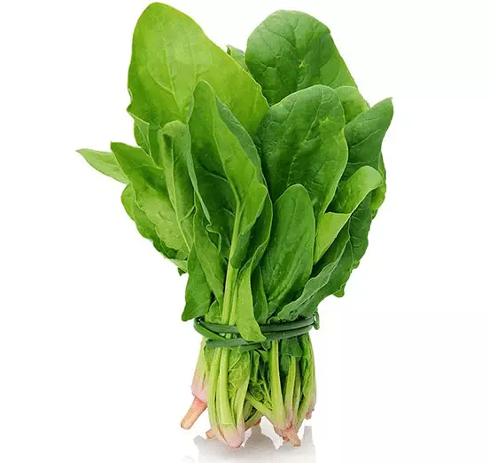 SPINACH