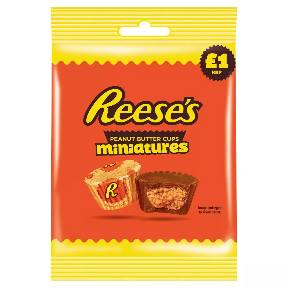 REESE'S MINI BAG 70G