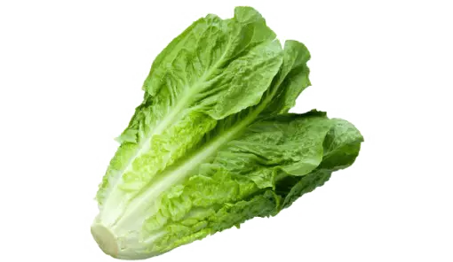 8481