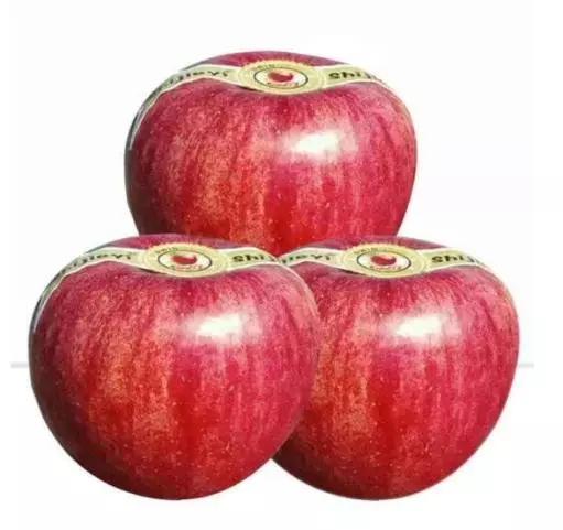 8532