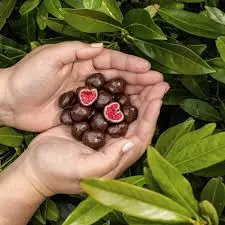 Supreme Patisserie Dried Raspberries Dipped in White & Dark Chocolate	250g
