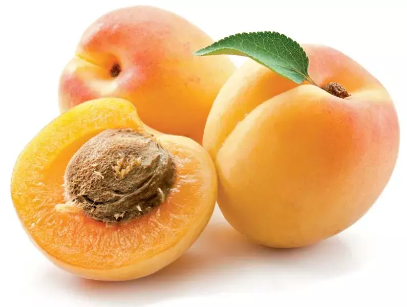 APRICOT 1KG