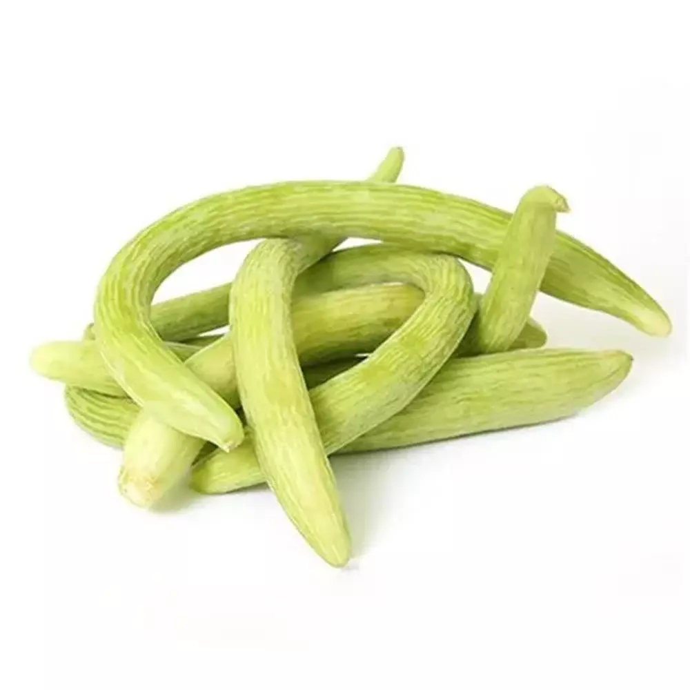 WILD CUCUMBER
