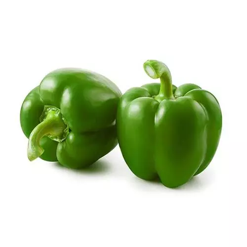 GREEN PAPPER