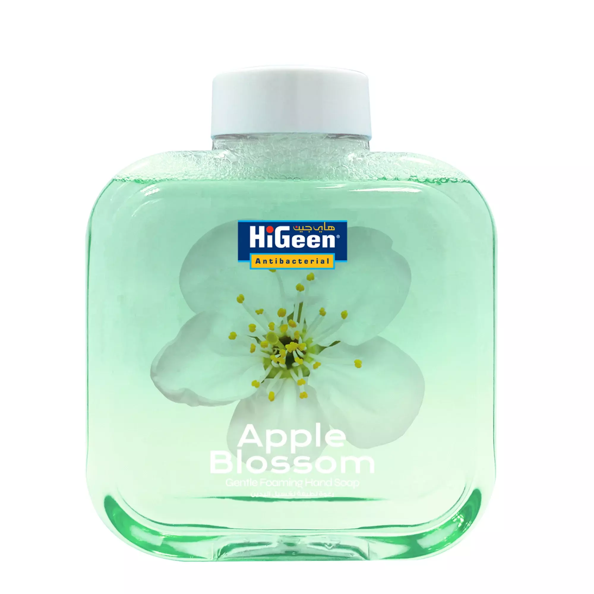 HIGEEN GENTLE FOAMING HAND SOAP 500ML