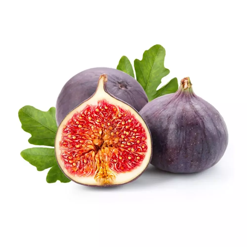 FIG 1KG