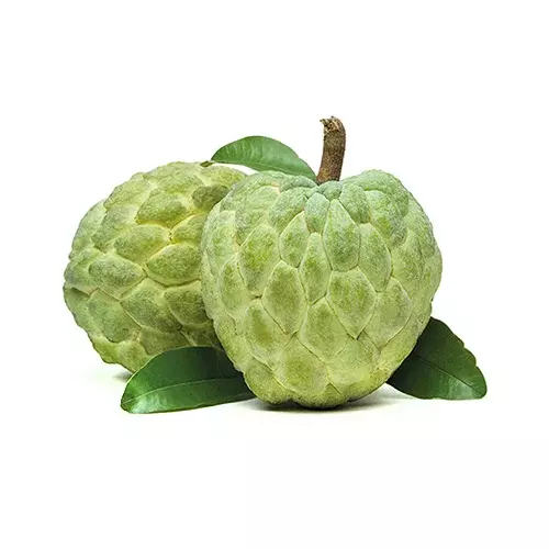KASHTA 1KG