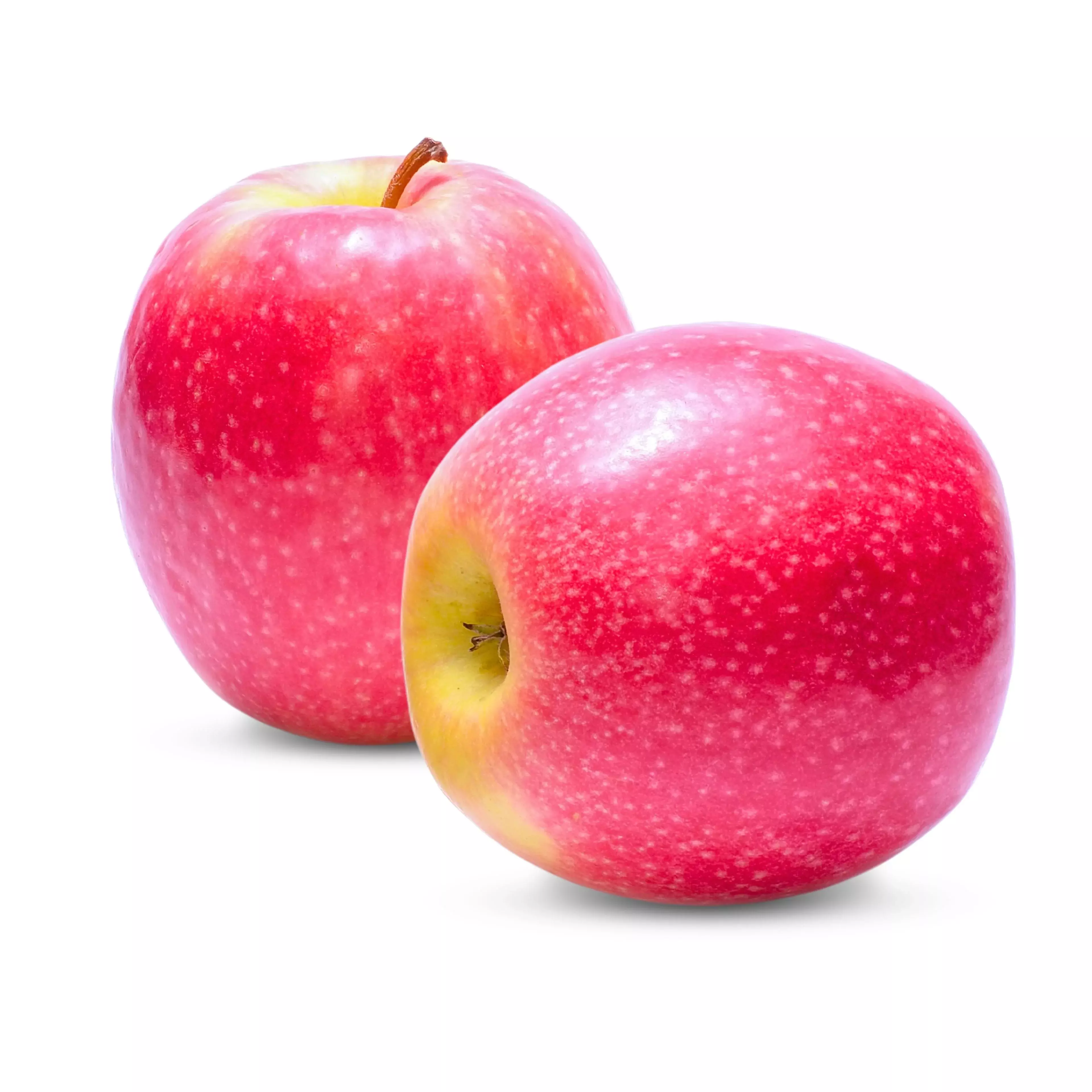 PINK LEADY APPLE