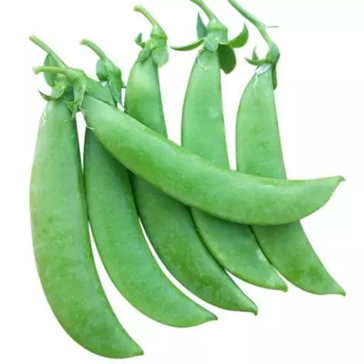 8530