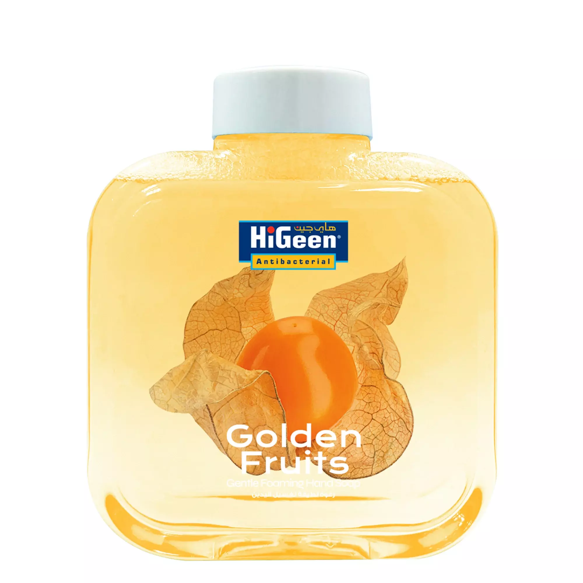 HIGEEN GENTLE FOAMING HAND SOAP 500ML
