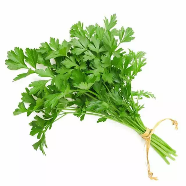 PARSLEY