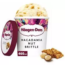 Haagen-Dazs Macadamia Nut Brittle Ice Cream Cup	430g