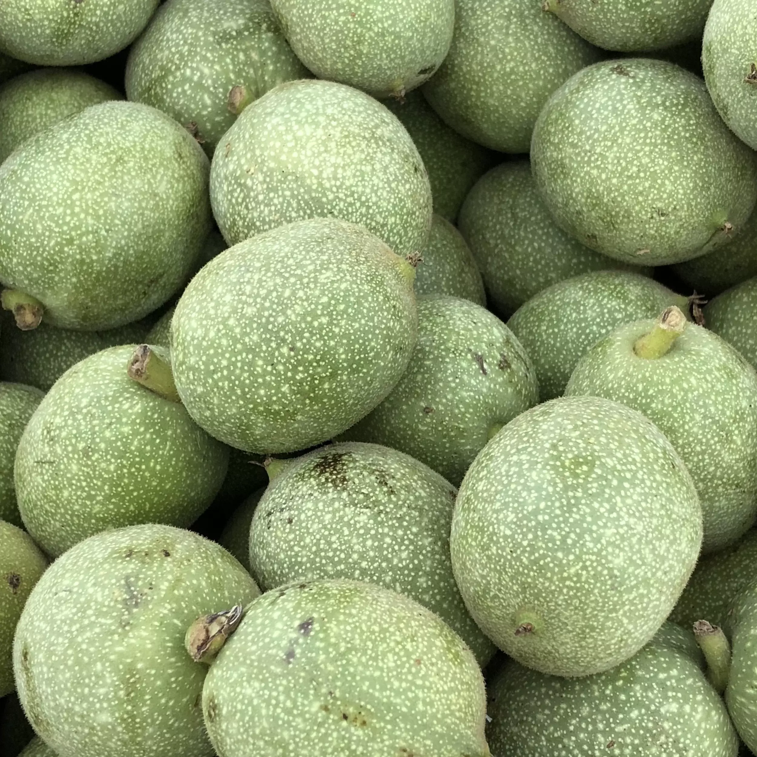 GREEN WALNUTS 1KG