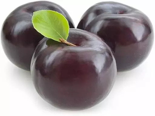 8509