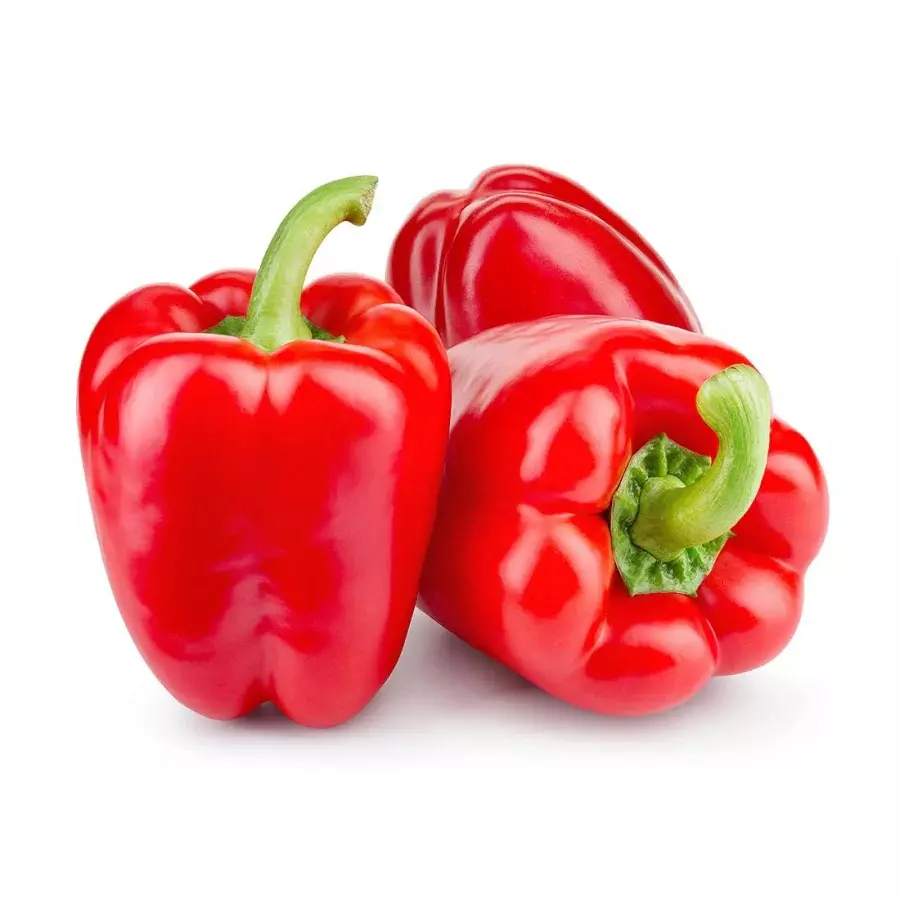 RED PAPPER