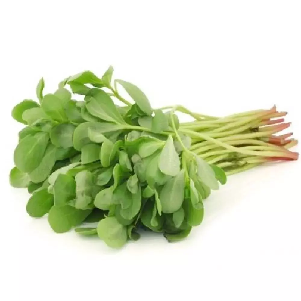Purslane