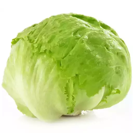 8446