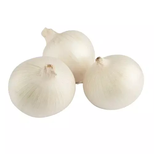 WHITE ONION