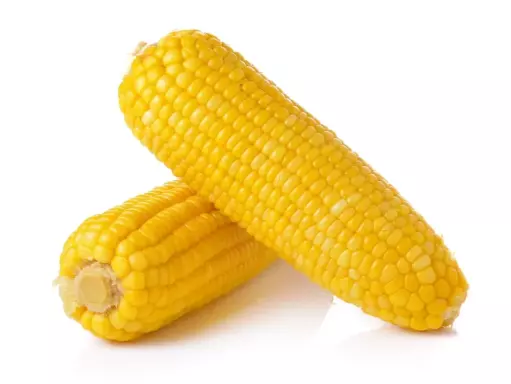 8450