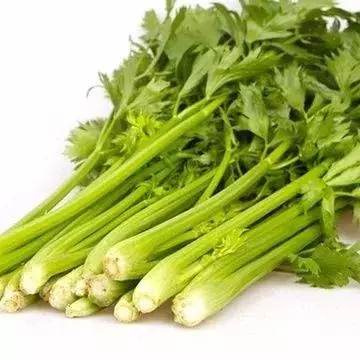8543