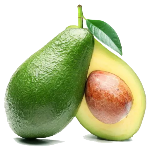 8495