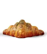 2596