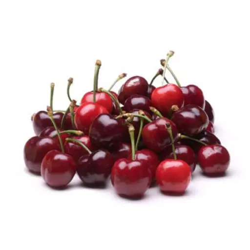 8528