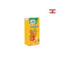 Candia Mango Juice Mini Box	125ml