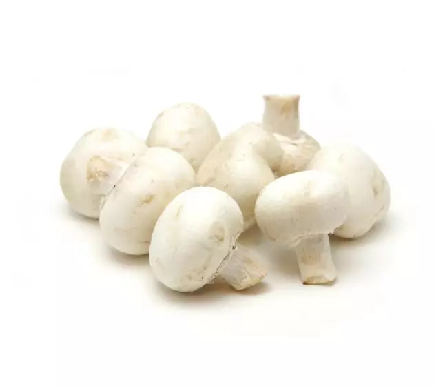 FRESH MUSHROOM