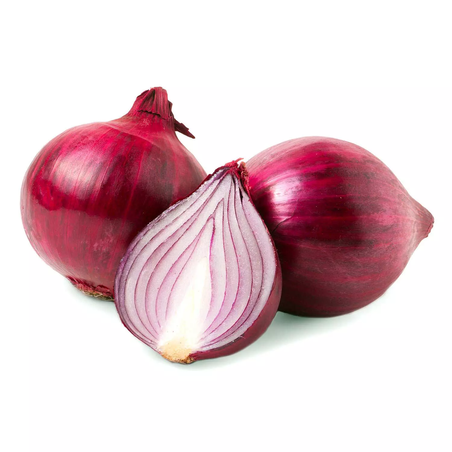 INDIAN ONION