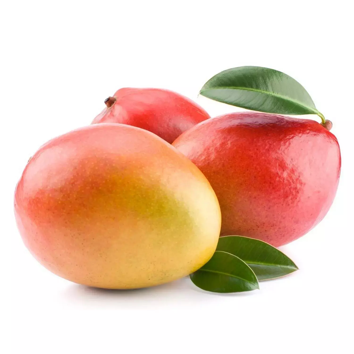 MANGO EGYPT 1KG