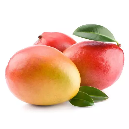 8497