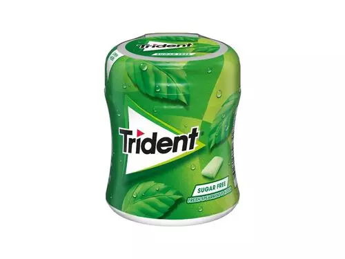 TRIDENT SPEARMINT BOTTLE 6X82,6GR