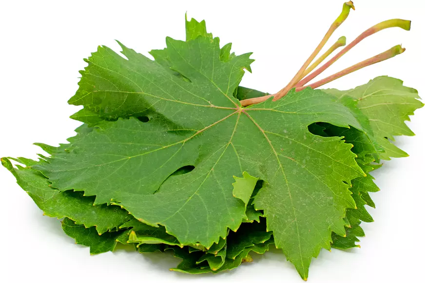 green grape leaves