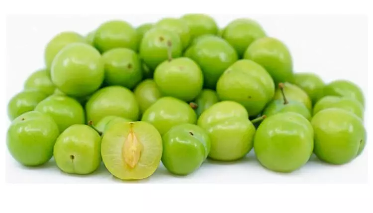 JANAREK 1KG