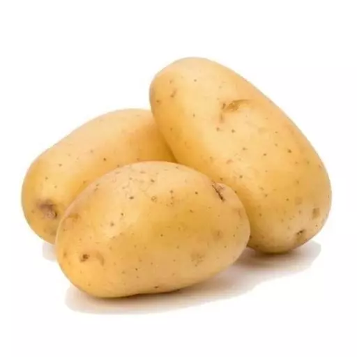 8448