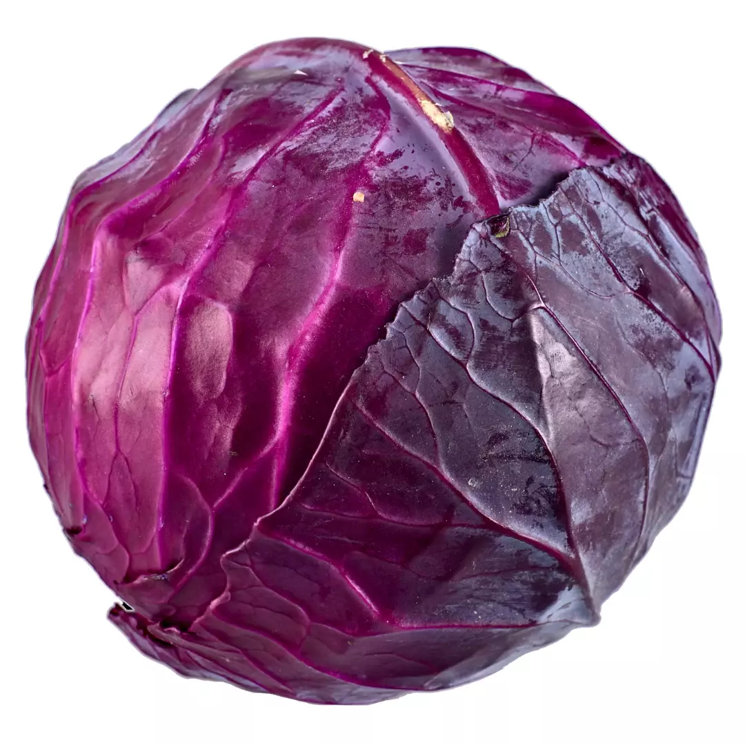PURPLE CABBEGE