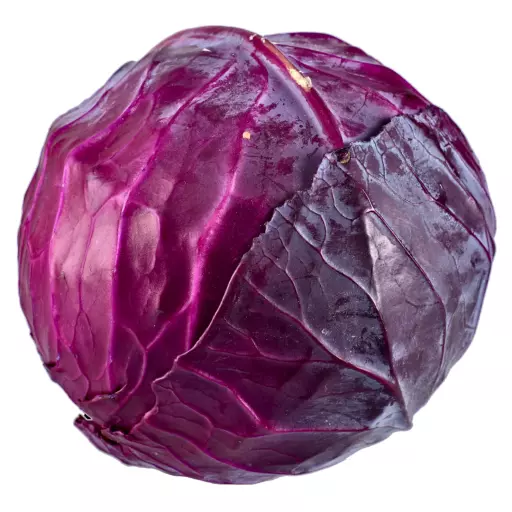 8445