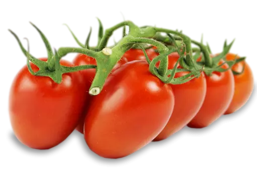 8436