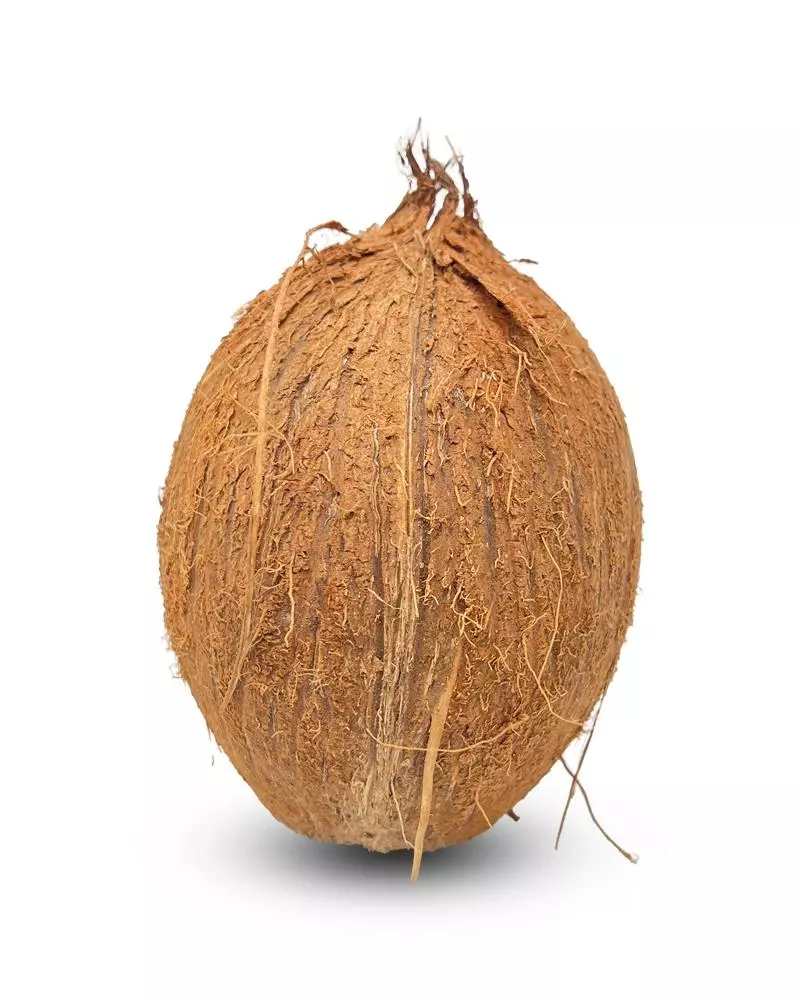 FRESH COCONUT IMPORTED 1PCS