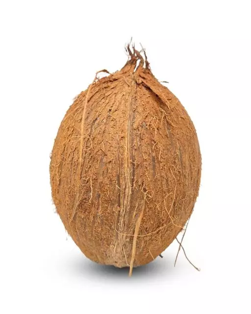 8544