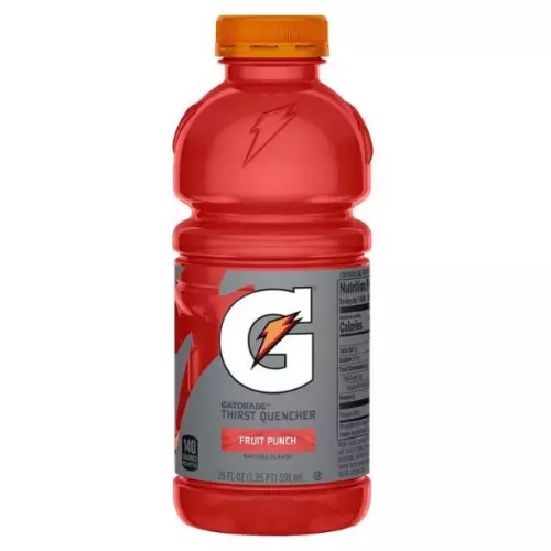 GATORADE FRUIT PUNCH 355ML