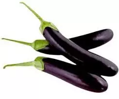 LONG EGGPLANT
