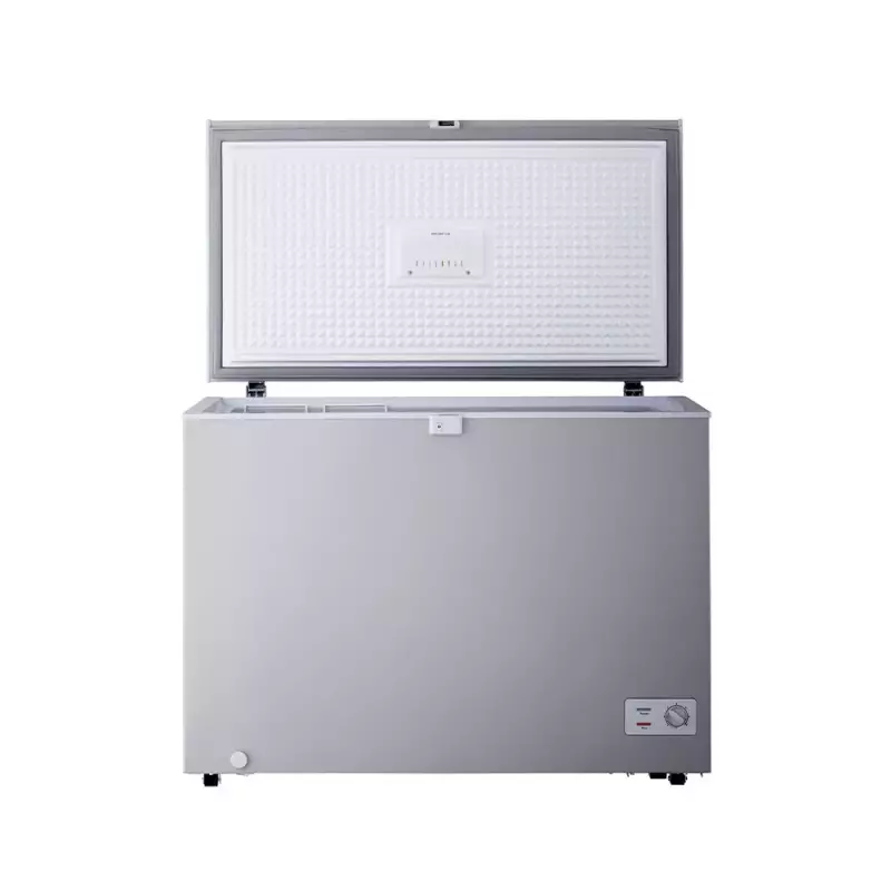LG Chest Freezer 190L (GCS215SQFG)