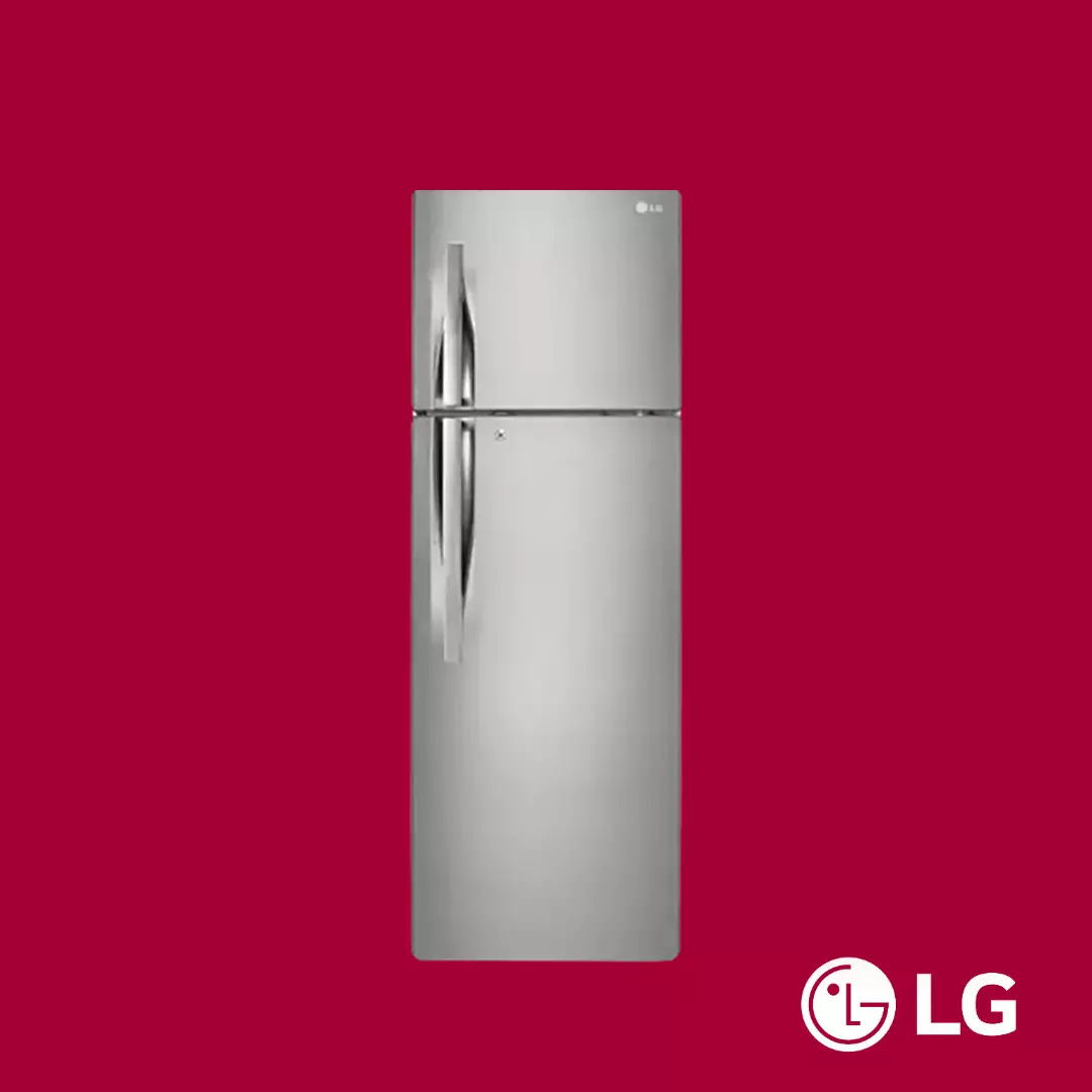 LG Top Freezer Refrigerator 257L (GL-C292RLBN)