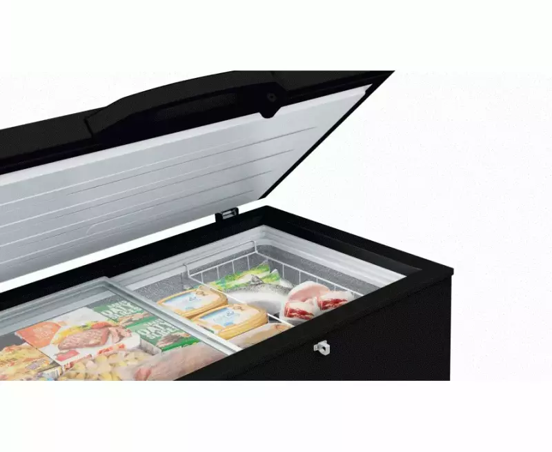 Hisense FC250SH 189L Chest Freezer