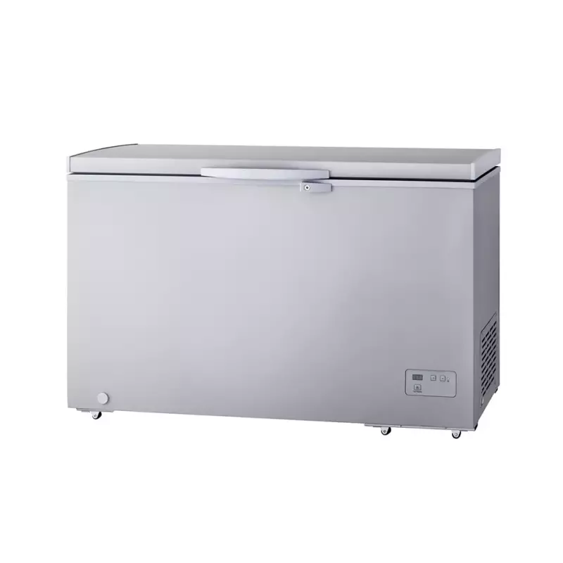 LG Chest Freezer 345L (GCS415GQFG)